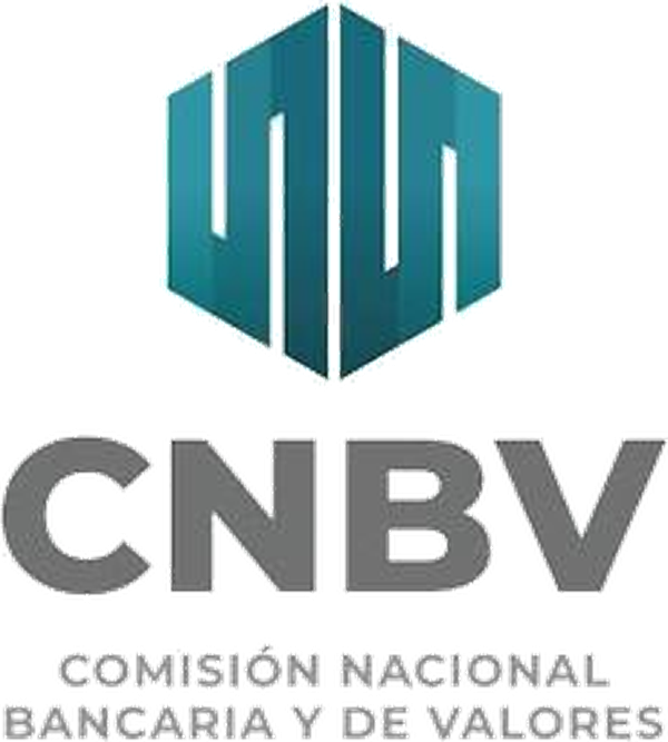 CNBV — Comisión Nacional Bancaria y de Valores