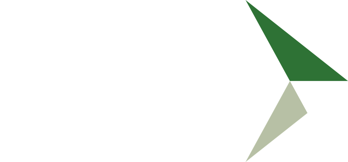 AYM — Asesor en Inversiones Independiente